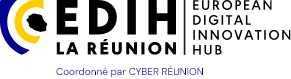 Logo Cyber Réunion - EDIH